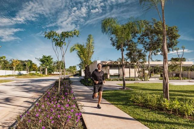 Terrenos a la venta en Komchén, Yucatán Tamara Developers desarrollos inmobiliarios en Yucatán 