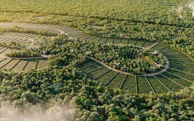 Terrenos a la venta en Libre Unión, Yucatán Entreselvas Developers desarrollos inmobiliarios en Yucatán 